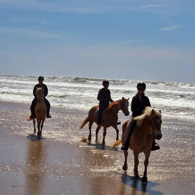 Au Coeur du Ranch: Chambres d'Hôtes dans le Médoc - Image 1