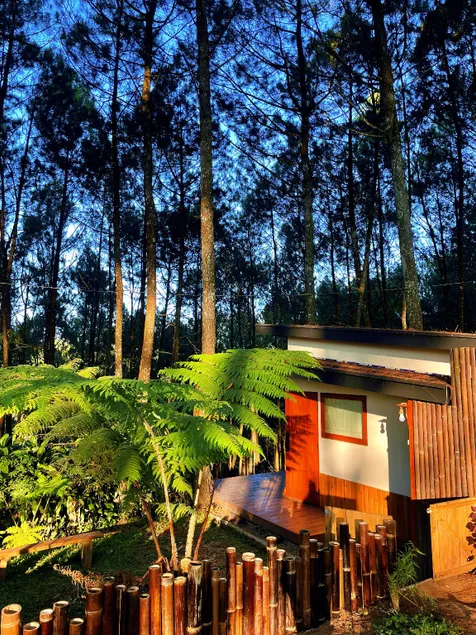 Datar Pinus Cabin 001 - Image 1