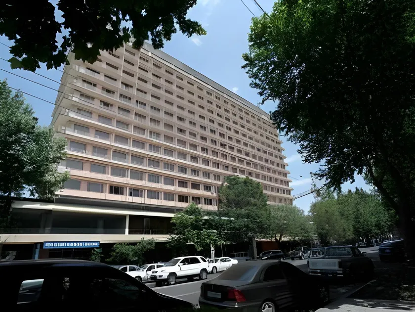 Ani Plaza Hotel - Image 1