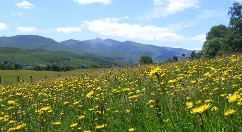 Cul Darach Lodge, Glen Roy Nature Reserve - Image 1