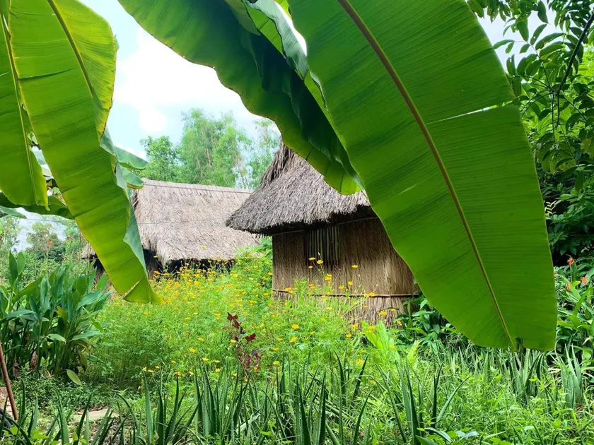 Saigon Garden Homestay - Image 1