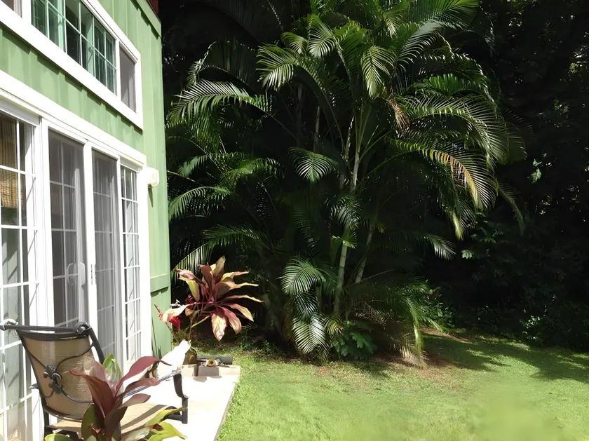Heavenly Hana Paradise - Image 1