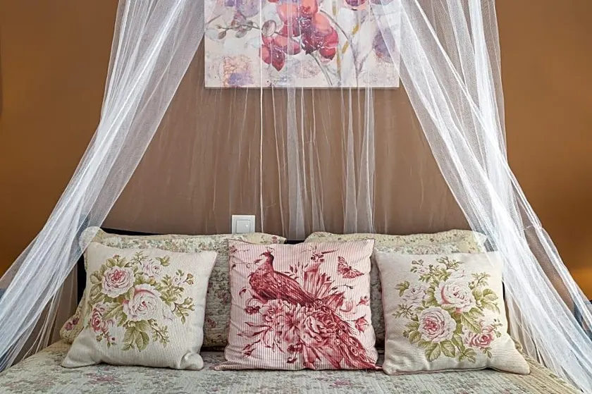 V.A. Boutique Apartments and Suites - Image 1