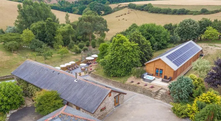The Vineyard - Image 1