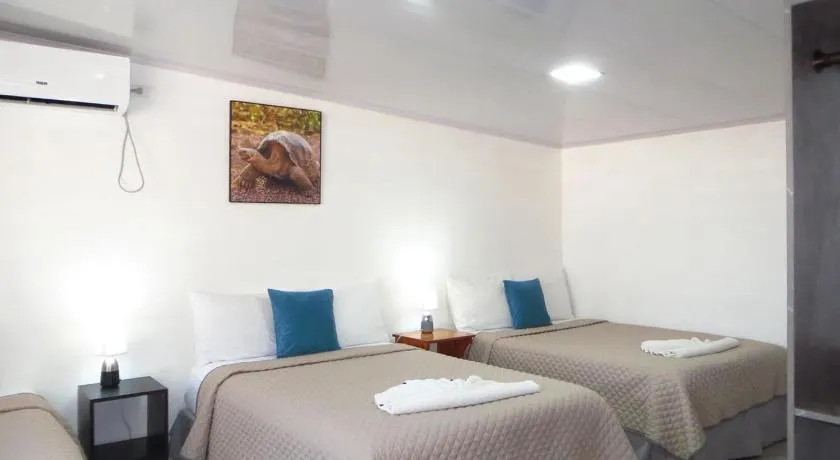 Dreams Studios & Apartments - Image 1