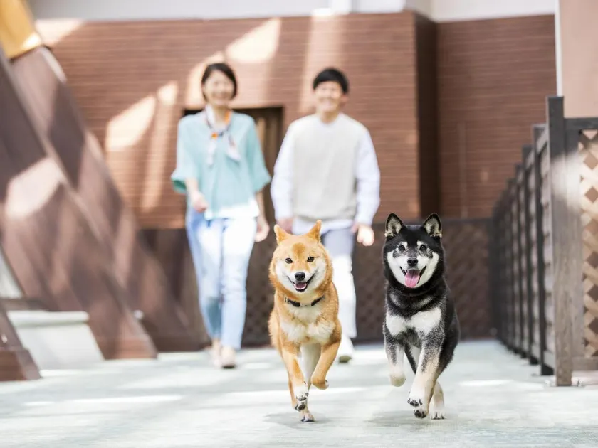 Wan Wan Paradise Izukogen - Image 1