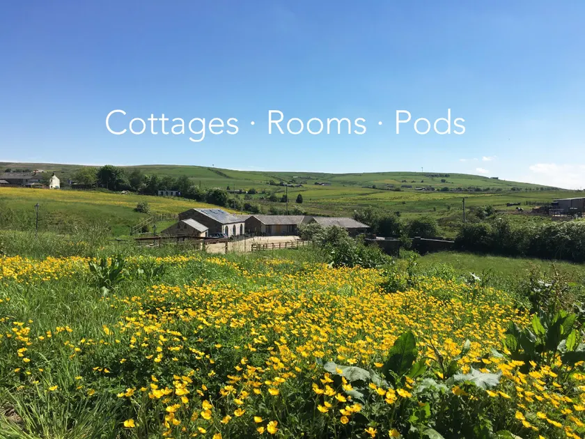 Hutte-Famille-SDB privée-Vue sur la campagne - Image 1