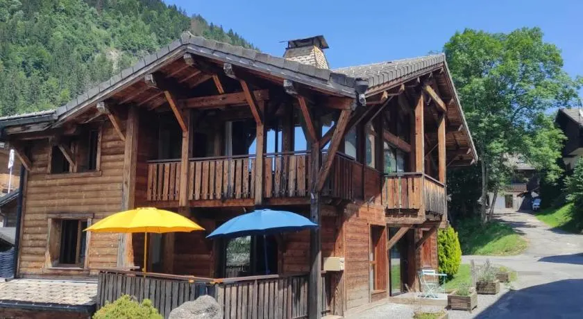 Chalet Robin - spa- multipass- terrain de pétanque - Image 1