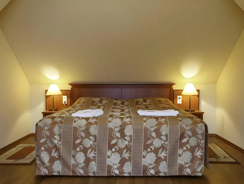 Pannon Hotel magánparkolóval, with private parking lot, bejelentkezés 20 óráig,check-in until 20 o'clock - Image 1