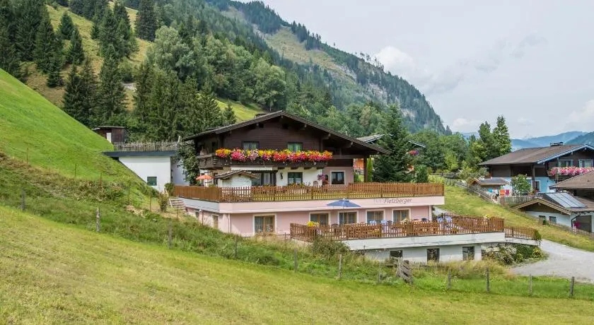 Fletzberger, Haus - Image 1