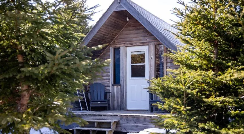 The Zzzz Moose Camping Cabins - Image 1