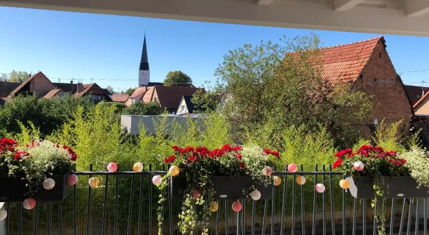 Maison d hotes Coeur de Village Alsace & spa - Image 1