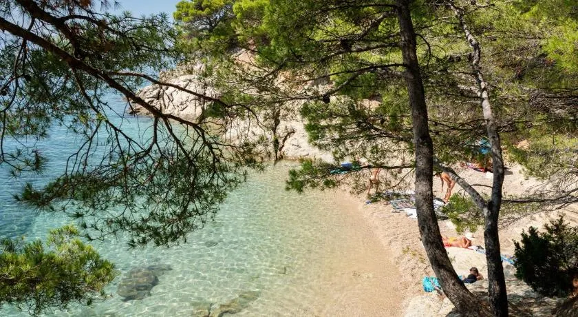 Appartamenti Tanja - Image 1