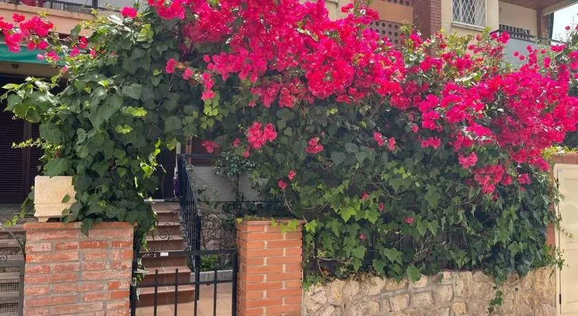 Precioso Bajo en 2a línea de mar - Image 1