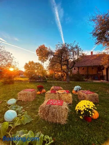 Bukovički mir - Image 1