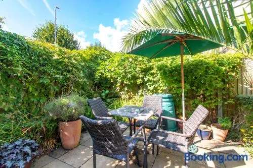 Bradstone Garden Retreat With Own Entrance - Image 1