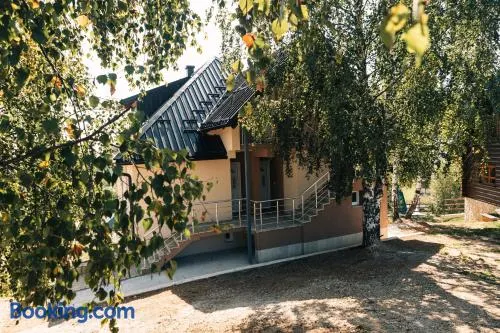 Jelenin konak - Image 1