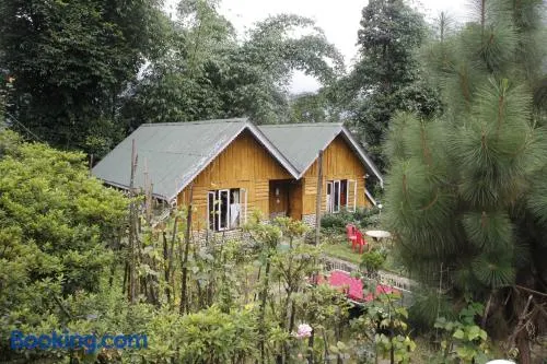 Cherry Resort - Image 1