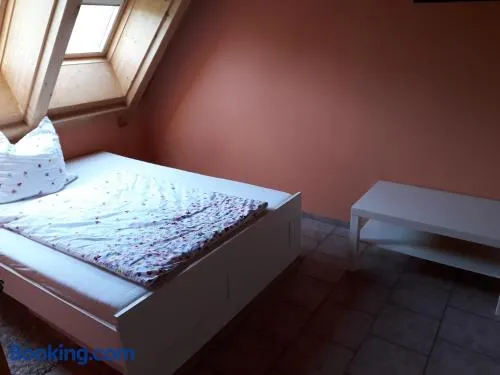 Gästezimmer in traumhafter Lage neben der Kurstadt - Image 1