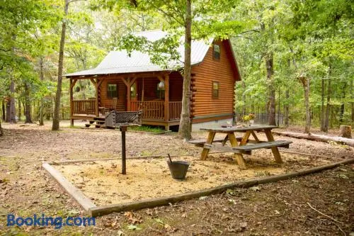Cabin in the Woods | Trails, Fire Pit, BBQ - Image 1