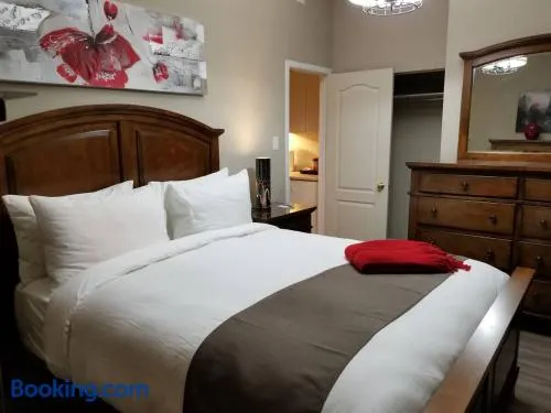 1-Bedroom Cozy #18 by Amazing Property Rentals - Image 1