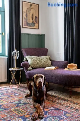 Berky Kúria - Stylish cottage in the Hills of Tolna for 16people - Image 1