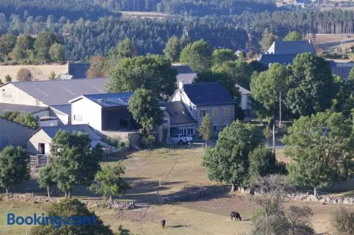 Gite à la ferme au cœur de l’Aubrac - Image 1
