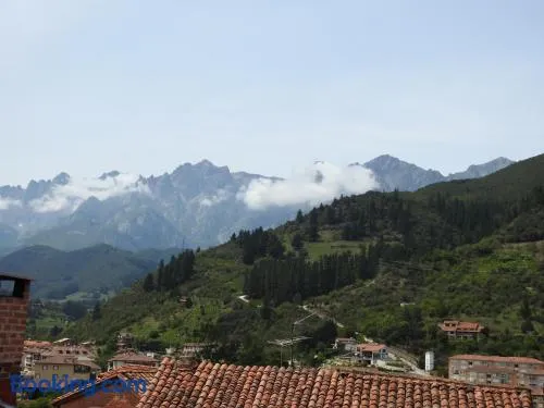 CASUCA LA SOLANA - Image 1