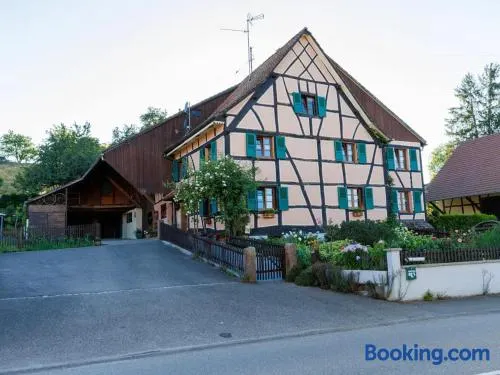 Gîte alsacien rénové avec jardin près de la Suisse et de l'Allemagne, idéal pour familles et amis - FR-1-744-29 - Image 1