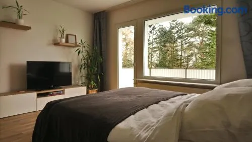 Melia - Image 1