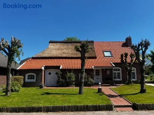 Lindenhuus-Urlaub unter einem Teilreetdach-Terrasse - Nahe Norden-Norddeich - Image 1