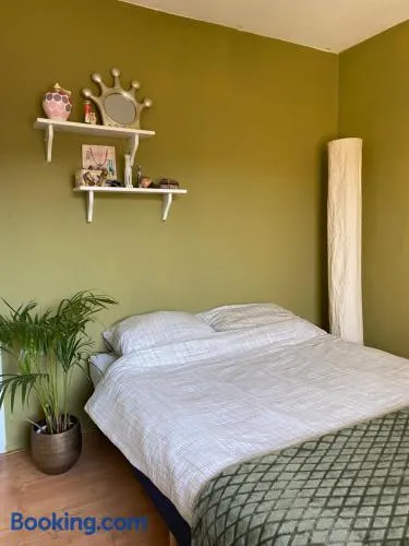 Great House for Two in Amsterdam - Image 1