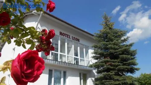 Leon - Image 1
