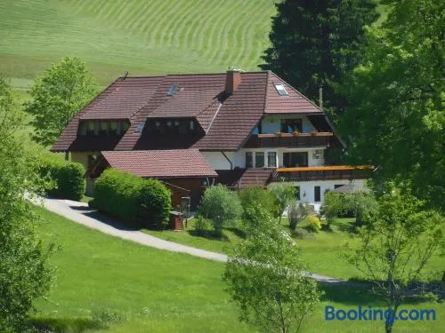 Ferienhaus Kaltenbach - Image 1