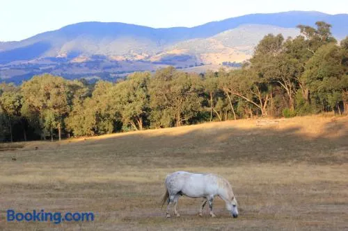 Yackandandah farm homestead - Image 1