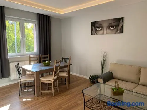 Grey apartment 50 m2 - Image 1