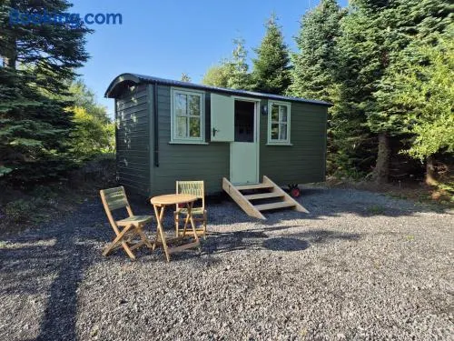 Clissmann Farm Shepherds Hut - Image 1