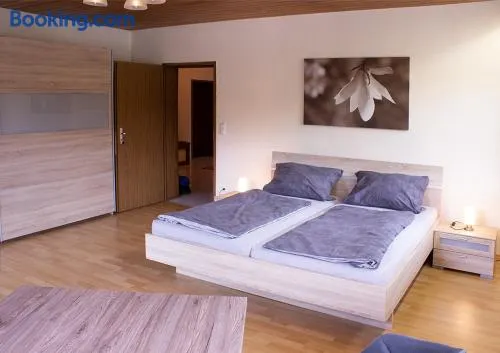Schöne Ferienwohnung mit großer Terrasse. - Image 1