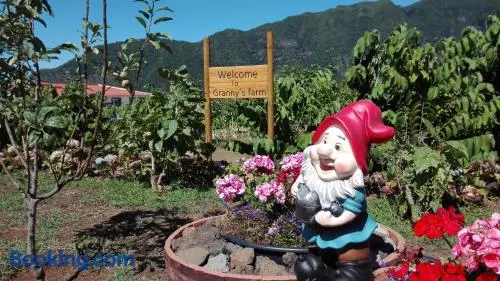 Granny's farm - Image 1