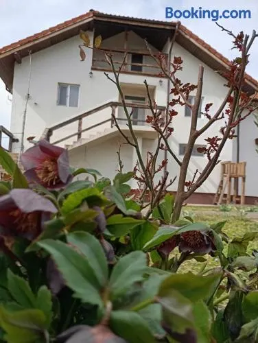 Casa Gheorghe - Image 1