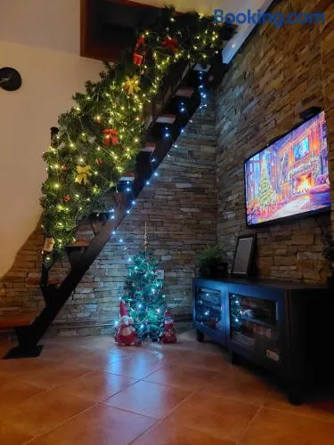 Apartman Šapat bora - Image 1