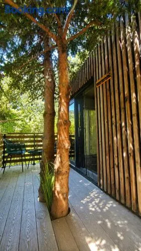 Forest Eco Cabin - Image 1