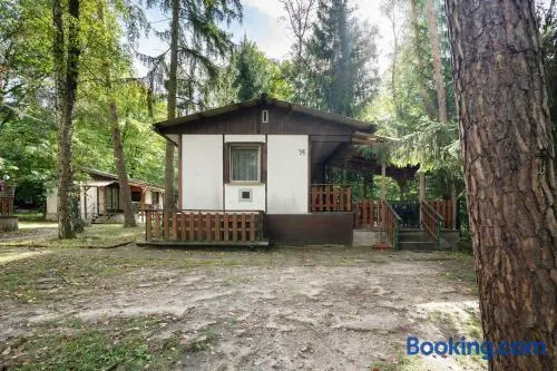 Bungalow 14 - Finnhütte - Image 1
