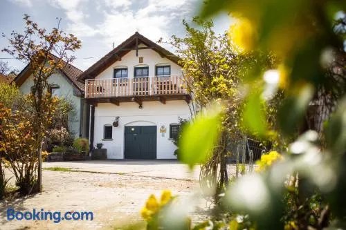 Vinařský apartmán Špalek - Image 1