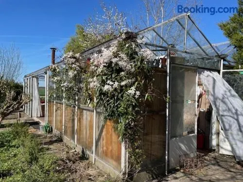 Vrijstaande accommodatie Glamping de Kas InN - Image 1