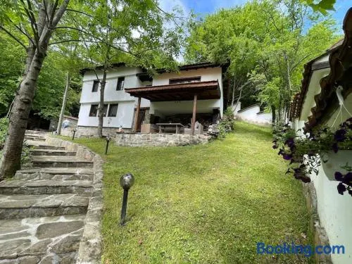 Forest Hill - Image 1