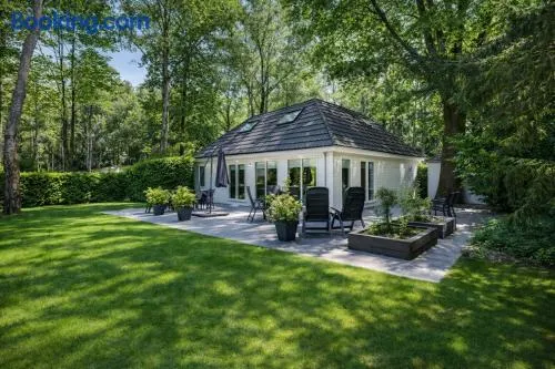 Groot vakantiehuis met sauna en bubbelbad - Image 1