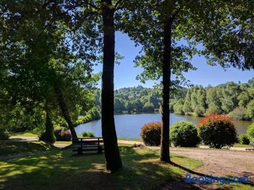 Les bouleaux - Image 1