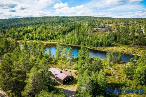 Ro i sjelen. Hytte til leie på Skrim. - Image 1