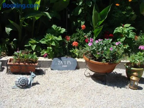 Zaira Studios - Image 1